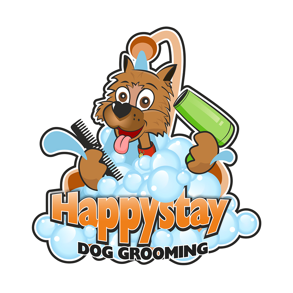 Embroidery Digitizing