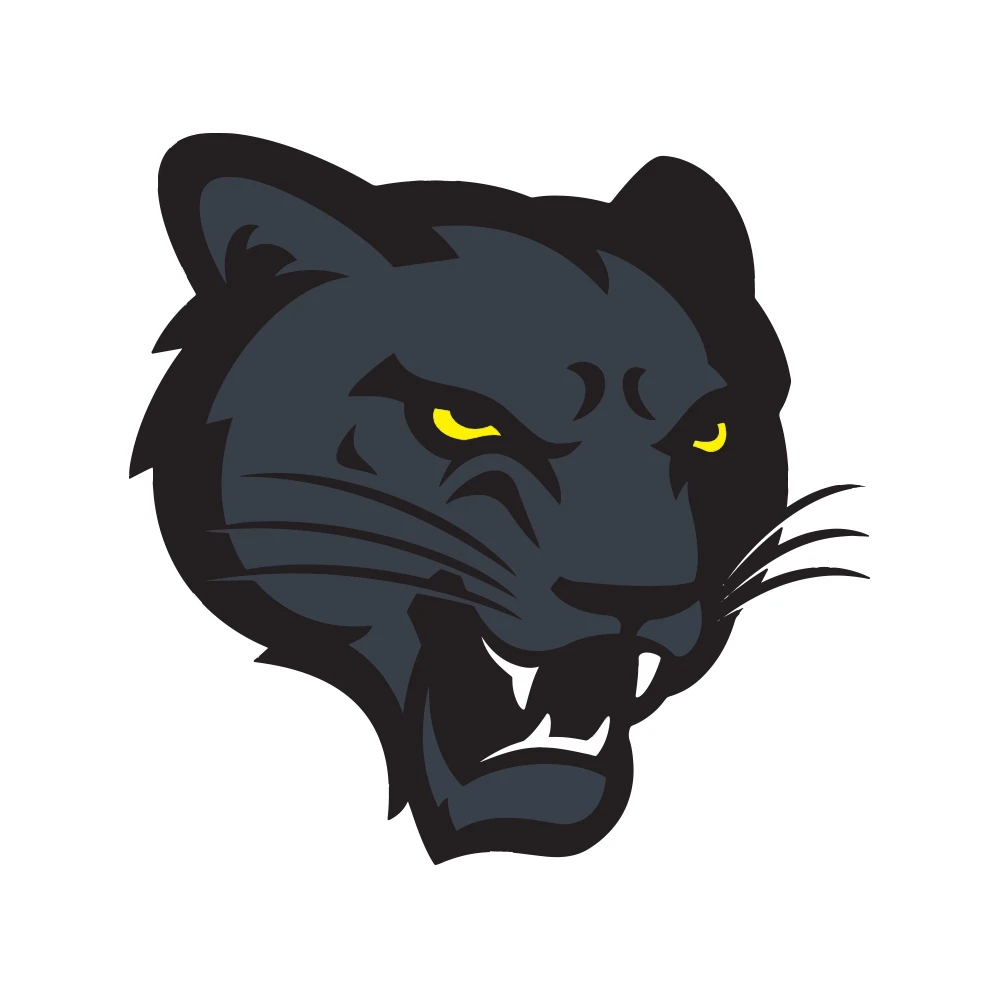 3D Puff Embroidery Digitizing 3D Puff Embroidery Digitizing